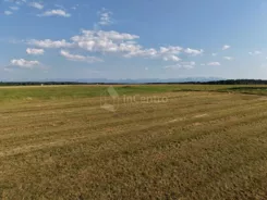 3173 - zdjęcie nr 4