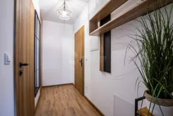 2995 - zdjęcie nr 1
