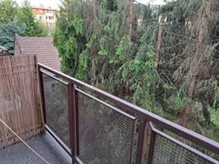 2639 - zdjęcie nr 1