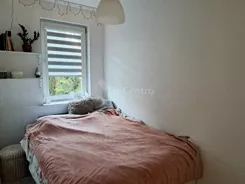 2639 - zdjęcie nr 3