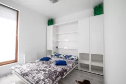 2568 - zdjęcie nr 4