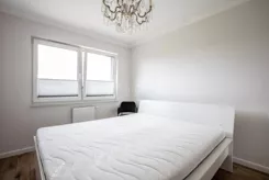 3163 - zdjęcie nr 3