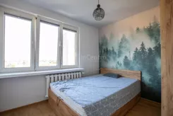 3174 - zdjęcie nr 2