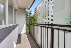 646638 - zdjęcie nr 3