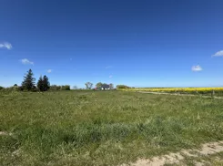 10435821 - zdjęcie nr 2
