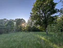10435989 - zdjęcie nr 0
