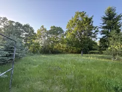 10435989 - zdjęcie nr 1