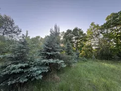 10435989 - zdjęcie nr 2
