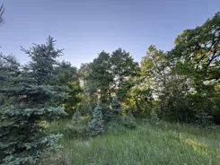 10435989 - zdjęcie nr 3