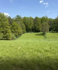 10436560 - zdjęcie nr 1