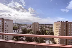 8 - zdjęcie nr 2
