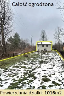 10441134 - zdjęcie nr 1