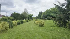 10468506 - zdjęcie nr 0
