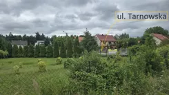 10468506 - zdjęcie nr 2