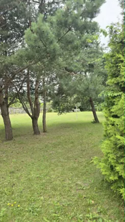 10468506 - zdjęcie nr 4