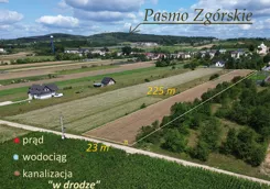 10475552 - zdjęcie nr 0