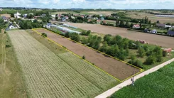 10475552 - zdjęcie nr 2
