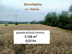 10475552 - zdjęcie nr 4
