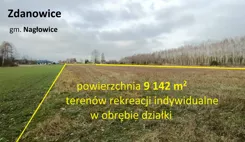 10452413 - zdjęcie nr 1