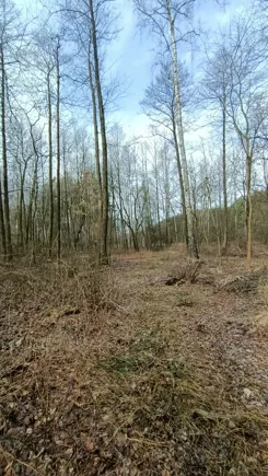 10452413 - zdjęcie nr 4