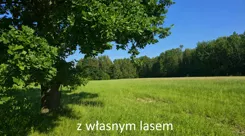 10452413 - zdjęcie nr 0
