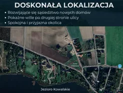 10458357 - zdjęcie nr 0