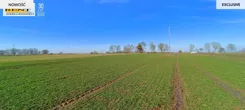 3778/7376/OGS - zdjęcie nr 2