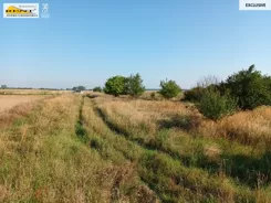 3767/7376/OGS - zdjęcie nr 3
