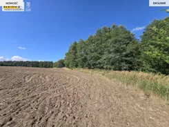 3793/7376/OGS - zdjęcie nr 0
