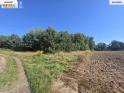3793/7376/OGS - zdjęcie nr 1