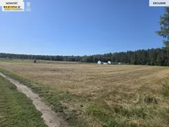 3793/7376/OGS - zdjęcie nr 2