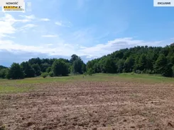 3787/7376/OGS - zdjęcie nr 4