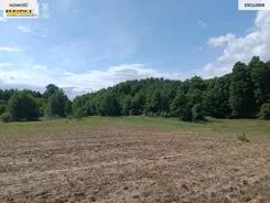 3480/7376/OGS - zdjęcie nr 3