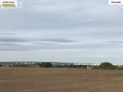 3690/7376/OGS - zdjęcie nr 2