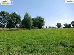 3446/7376/OGS - zdjęcie nr 5