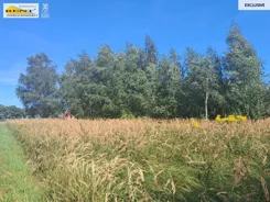 3750/7376/OGS - zdjęcie nr 1