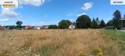 3736/7376/OGS - zdjęcie nr 3