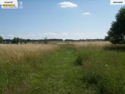 3773/7376/OGS - zdjęcie nr 3