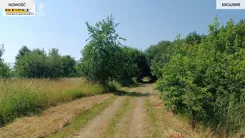 3788/7376/OGS - zdjęcie nr 1