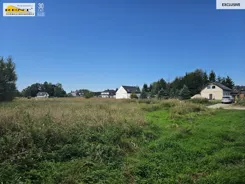 3791/7376/OGS - zdjęcie nr 0