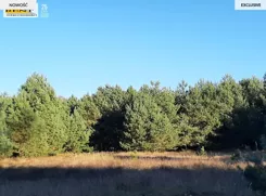 3435/7376/OGS - zdjęcie nr 1