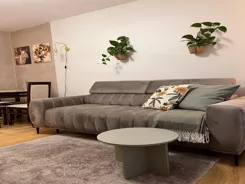 10466745 - zdjęcie nr 3
