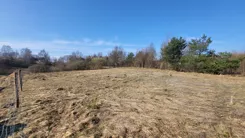 10474972 - zdjęcie nr 1