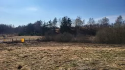 10474972 - zdjęcie nr 4