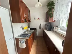 10474975 - zdjęcie nr 1