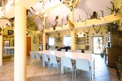 REMAX-EXPERTS-I-605/3953/ODS - zdjęcie nr 3
