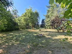 REMAX-420/3992/ODS - zdjęcie nr 2