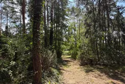 REMAX-15-DS-TIqxSGsJyL - zdjęcie nr 0
