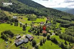 REMAX-309-DS-INVEST - zdjęcie nr 0