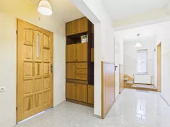 REMAX-169-DS-AMBER - zdjęcie nr 0